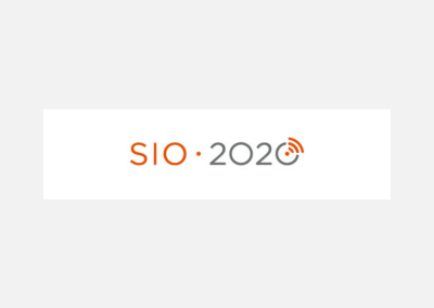SIO 2020 – program nadaljnje vzpostavitve IKT v VIZ
